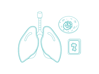 ProteiQ Biosciences GmbH bioscience cell graphic design illustration line art lungs medicine tissue
