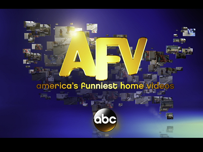 America's Funniest Home Videos