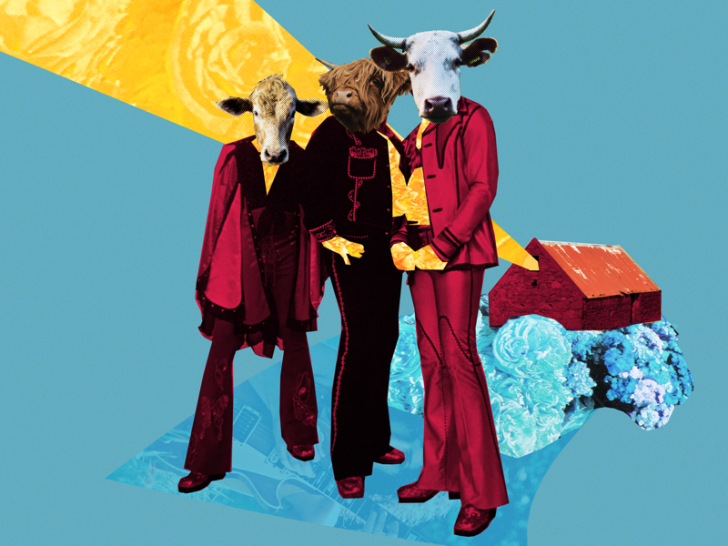 Light My Byre photoshop funny animals bull cow album cover music funk retro collage scotland scottish farm