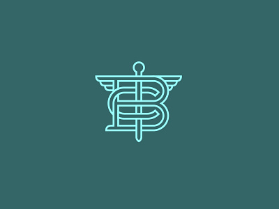 Boulevard Chiropractic branding design graphic design icon design mplsminn vector