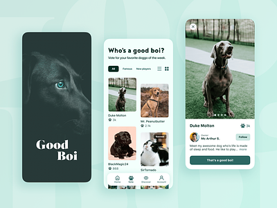 Good Boi - Mobile App app cards design dog dogs green mobile serif social ui vote