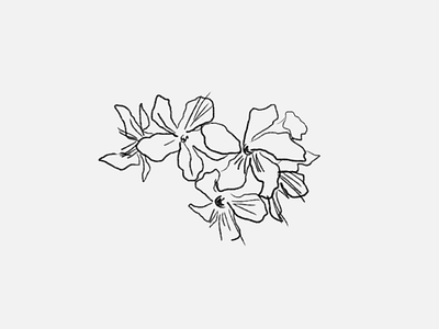 Sketch flowers