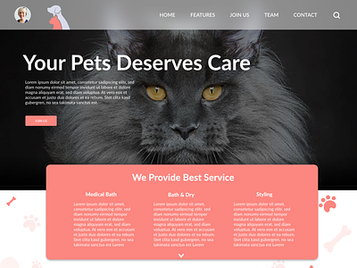 Pet Supply branding challenge daily daily 100 challenge daily challange dailyui design dribbble flat graphic design illustration landing page lettering madewithadobexd pet care ui ux web website xd