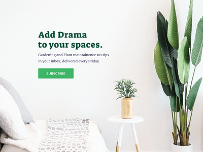 Green Beats ~ Brand Identity & Web Design