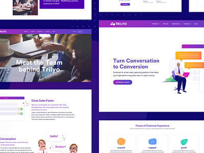 Trilyo : Website Design