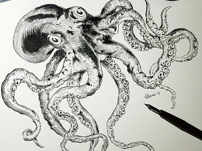 Octopus crosshatching crowquill drawing illustration ink octopus speedball tentacles victorian vintage