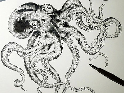 Octopus