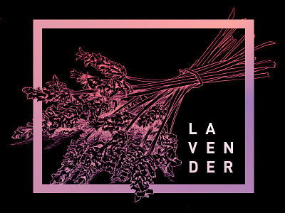Lavender alcohol branding crosshatch design etch flowers gradient gradients illustration lavender minimal