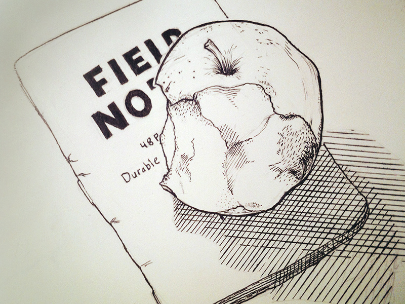 Apple Sketch sketch ink apple crosshatch render crowquill speedball fieldnotes illustration typography comics fourchambers