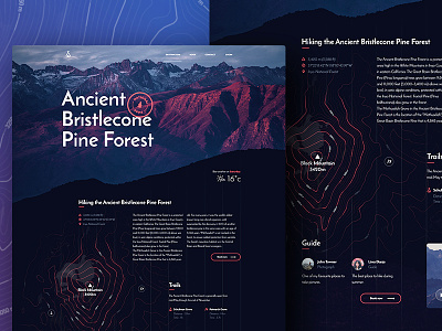 Ancient Bristlecone Pine Forest — Mountain trail guide hike map mountain national park topography trail ui