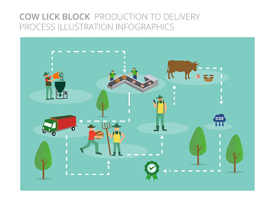 cow lick Production Process illustration block cow illustration infographic lick process production