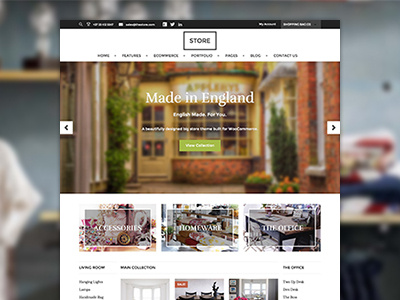 Store: An eCommerce WordPress Theme