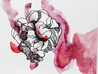Rose draw watercolor