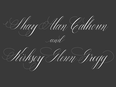 Wedding Invite customtype lettering script vectors wedding