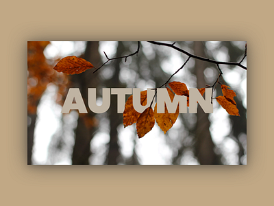Autumn autumn imagery leaves orange tree trend typography