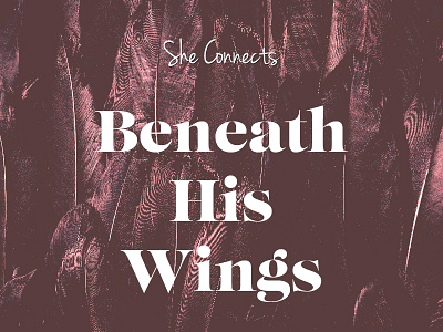 Beneath His Wings • She Connects branding connect course eastgate feather logo she women