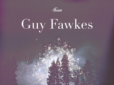 Guy Fawkes fawkes fire fireworks forest guy guy fawkes hcc jungle thrive tree trees