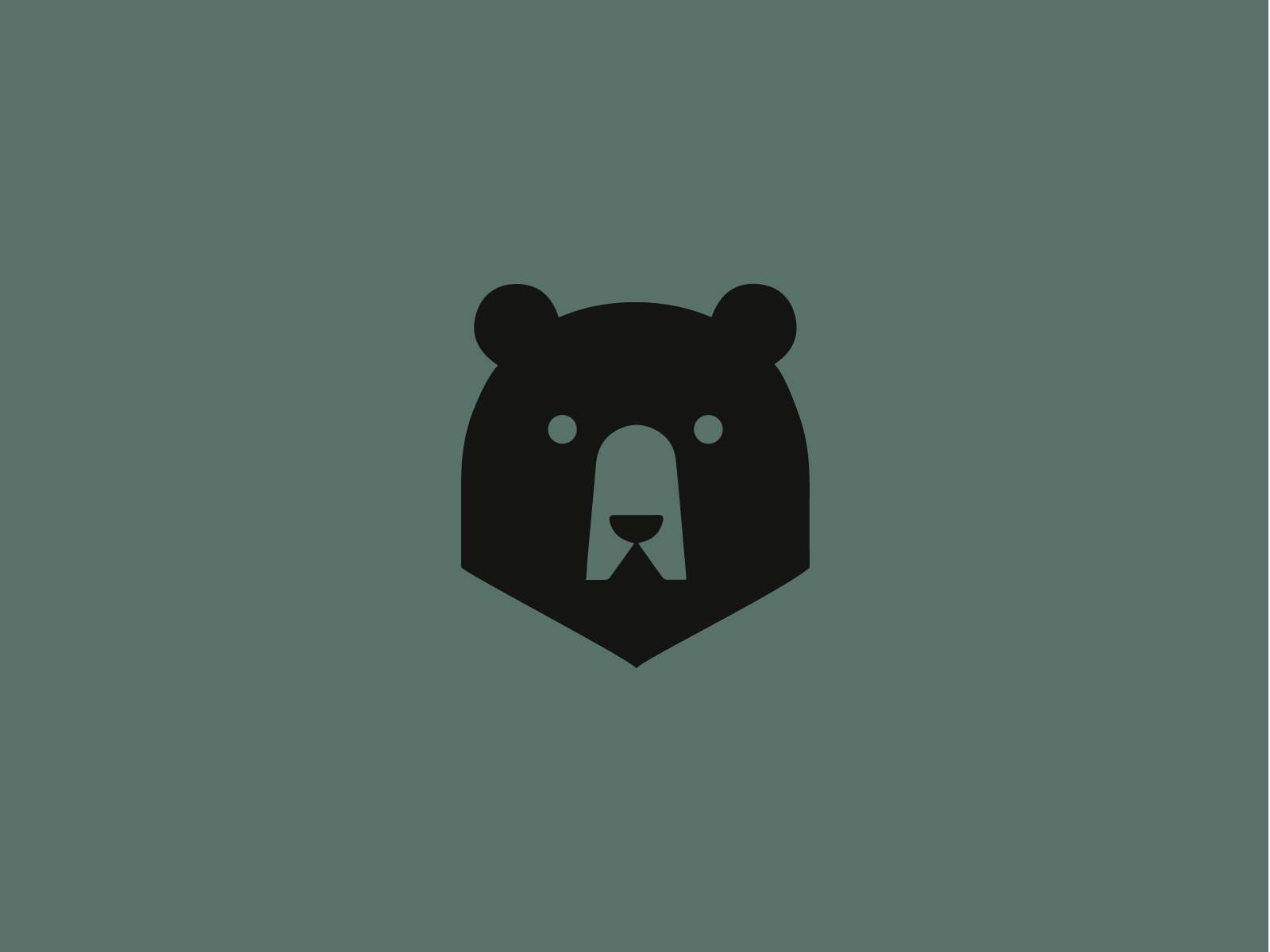 Grizzly Bear by Federico David on Dribbble