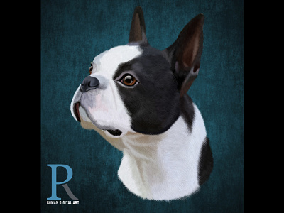 Boston Terrier boston terrier digital painting dog illustration pen tablet photoshop pod print print on demand realistic t shirt print wall art