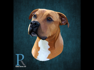 Pit Bull Terrier High Detailed Illustration