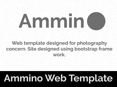 Ammino Web Template - Responsive