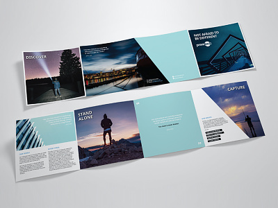 Premex – Fold out brochure blue brochure corporate design diagonal fold funding photography print simple square