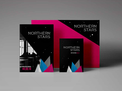 Northern Stars Brand Guideliens angles awards brand bright business ceremony concept entrepreneur guidelines northern points stars