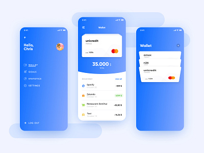 Wallet app concept : wallet and menu flow
