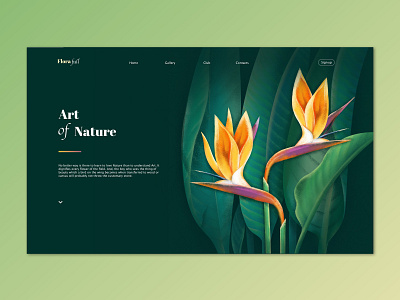 Art of Nature - Landing page flower illustration ui uidesign ux web design website website concept website design