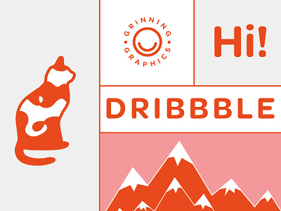 Hell Dribble graphic design logo design web design