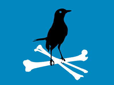 Femur Fibula Tibia bird bones illustration southafrica starling vector