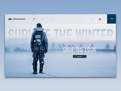 Survive The Winter ecom interface principle principleapp sketch app ui ux web interface