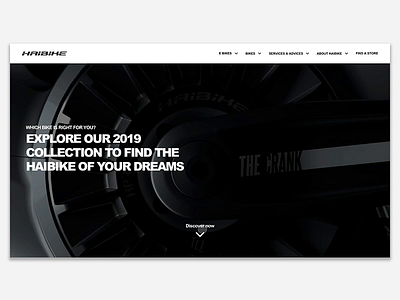 Haibike bikes bikeshop haibike interface principle app principleapp sketch sketchapp ui ux web interface