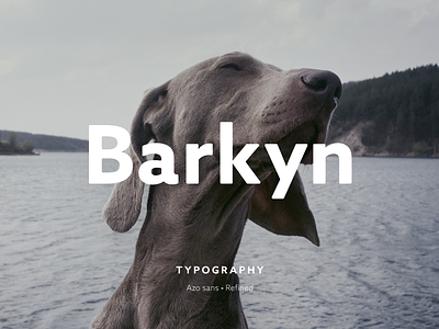 Barkyn Logo animals barkyn brand branding dogs logo scytale typography