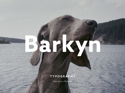 Barkyn Logo