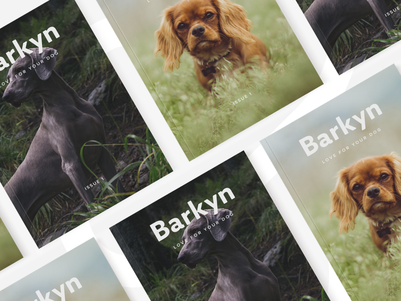 Barkyn Mag pet magazine editorial design dog cover barkyn animal