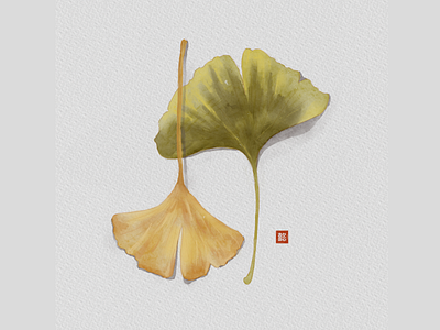 Watercolor 01 - Ginkgo biloba illustration ipad procreate watercolor