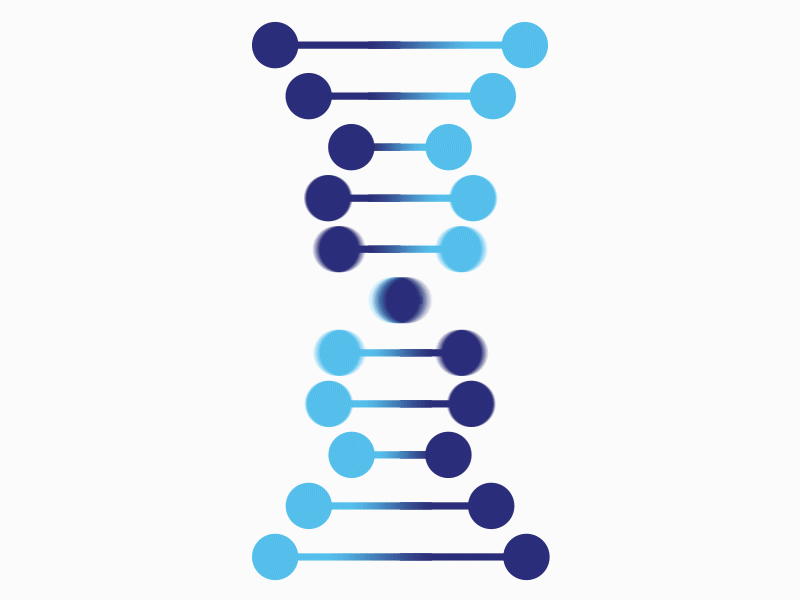 DNA Loop