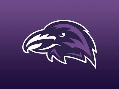 Raven Concept branding logo raven sports team