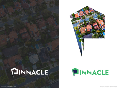 Pinnacle brand identity branding clean design creative design logodesign logomark real estate logo typography