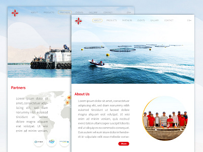 Niksa Co. Web Graphic Design