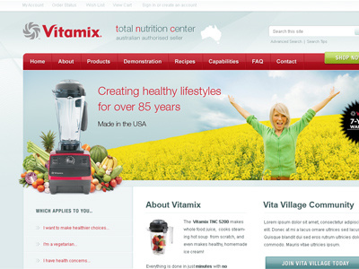 Vitamix Concept