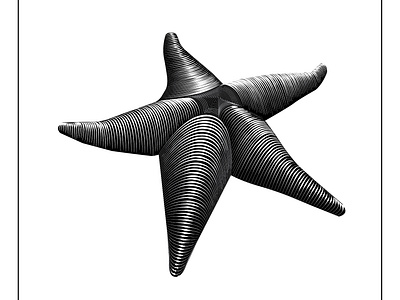 Estrella de mar adobe creative design diseño graphic graphics illustration illustrator vector