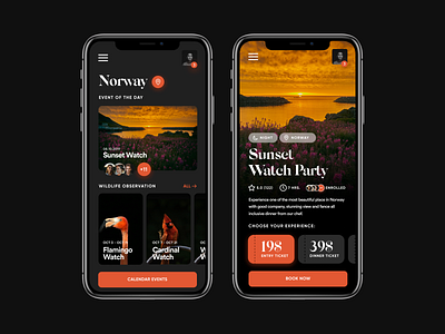 Travel Activities App app app design apple bird birds booking clean design designer orange tickets travel travel app traveling typography ui