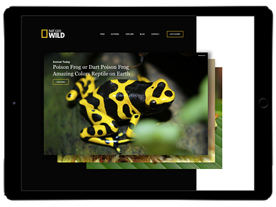 NatGeo Wild iPad Design app branding data design illustration ipad ui ux