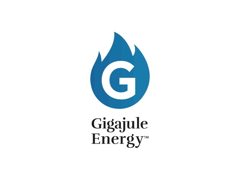 Gigajule Energy styleguide business card logo design logo branding