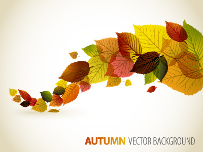Autumn leafs autumn color vector