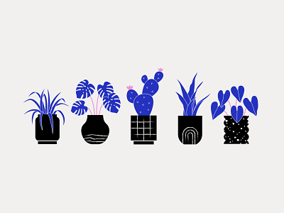 Plant Boiz Continued house plants illustraion illustration plants vector