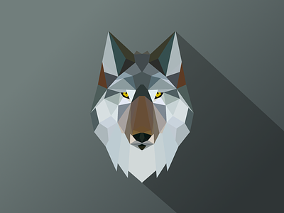 Low Poly Wolf animals low low poly low polygonal nature poly portrait wolf