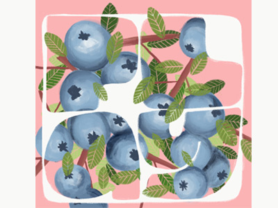 Play blueberries drawing fruit illustration leaves pink type